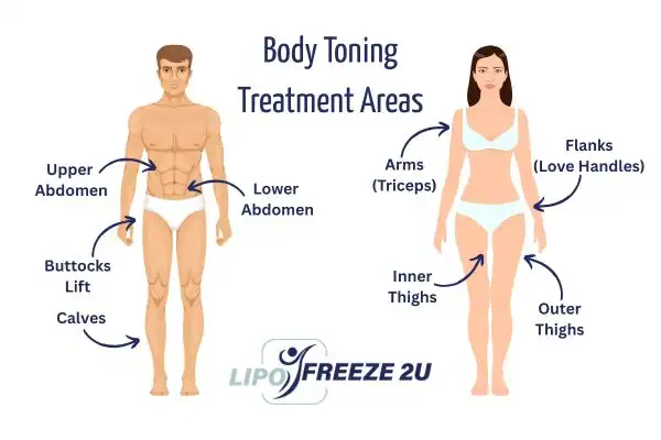 Graphic showing where you can have Body toning Treatment Whitby on your body